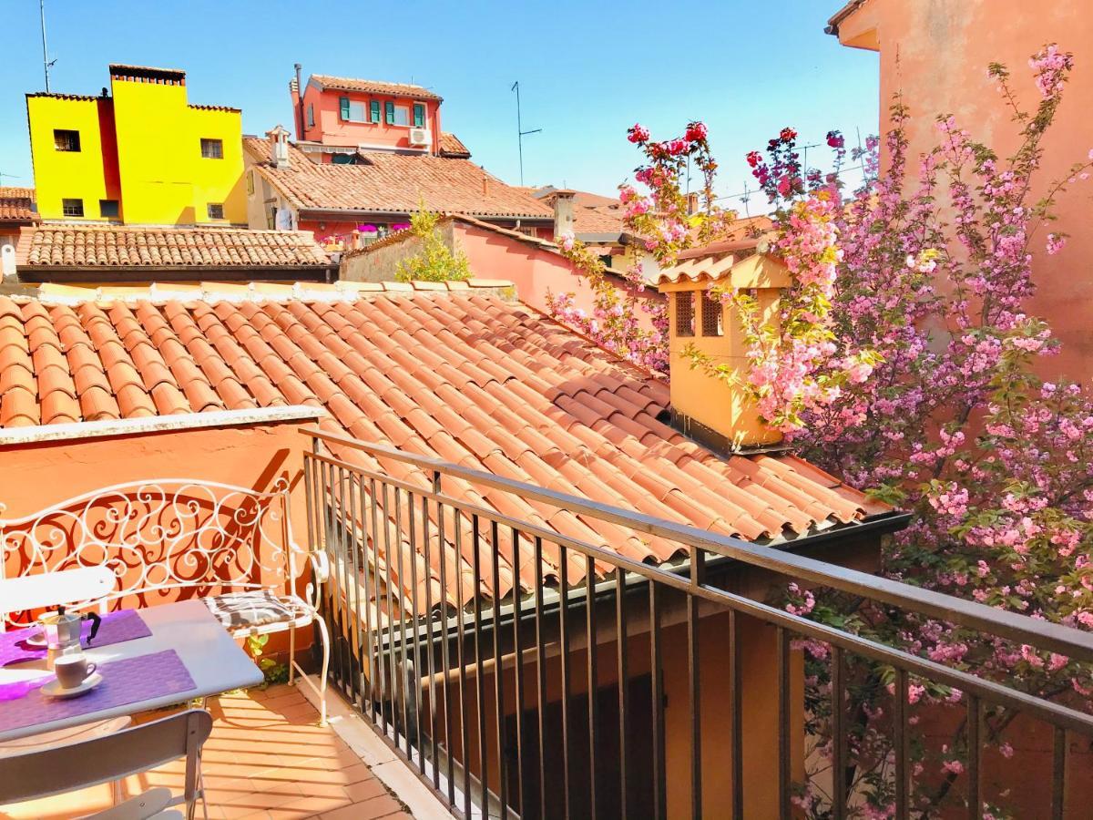 Falcone 22, Bologna